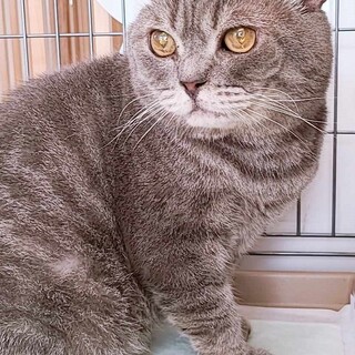 ひとりっこ希望の男の子