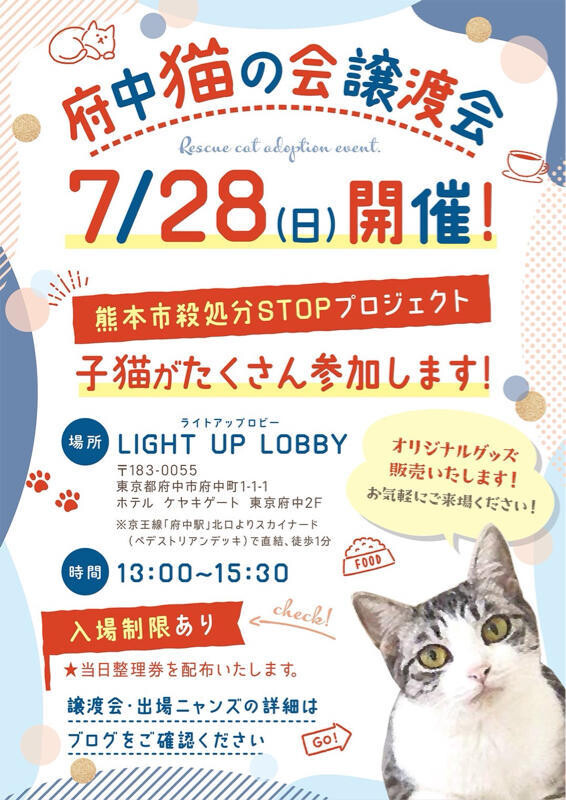 フレップくん♂@約4ヶ月未満 サムネイル6