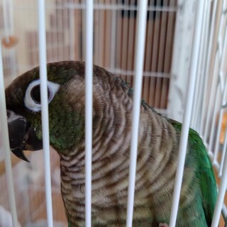 ご応募頂いた皆様ありがとうございました。