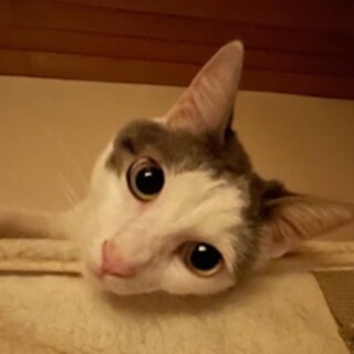 アイドル候補の空君です！！