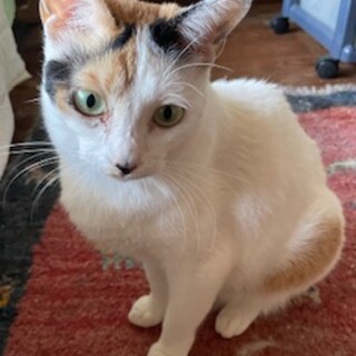 エキゾチックな雰囲気の女の子！！