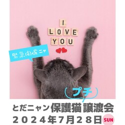 とだニャン保護猫譲渡会