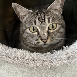 真ん丸フェイスが可愛い♡マイペースながっちゃん