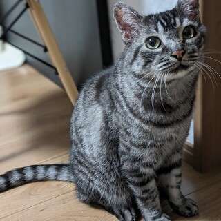 犬系男子のナイスガイ♡ゴボちゃん