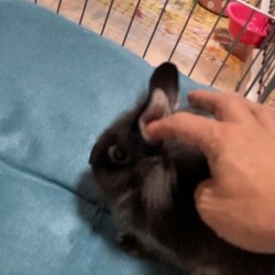 「カイカイして～」サムネイル2