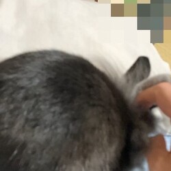 「カイカイして～」サムネイル3