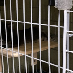 「那智のグッズ紹介　その８」サムネイル3