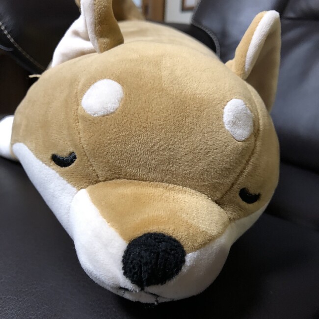 ちゃこわんのカバー写真