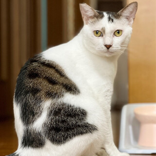 しめじくん♂@6〜7歳