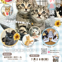 君と猫の赤い糸譲渡会