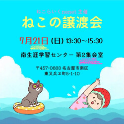 ねこねこ譲渡会