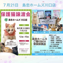 7/21（日）島忠ホームズ川口店保護猫譲渡会