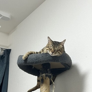 どこでも寝ちゃうよ