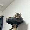 どこでも寝ちゃうよ
