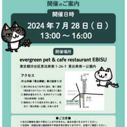 保護ねこ譲渡会＠恵比寿