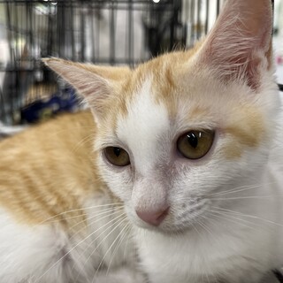 里親決定です！つむぎちゃん