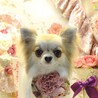 よつば⭐︎