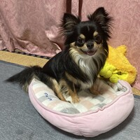 ぺぺち