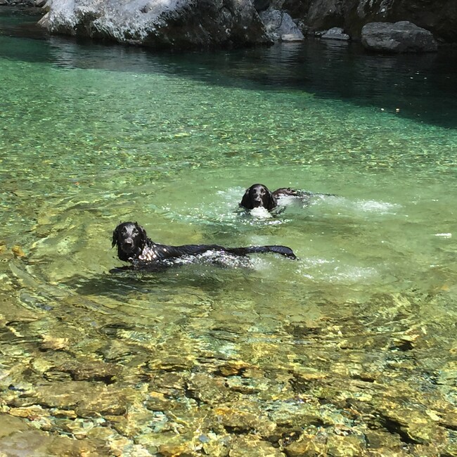 ラムなみっちのカバー写真