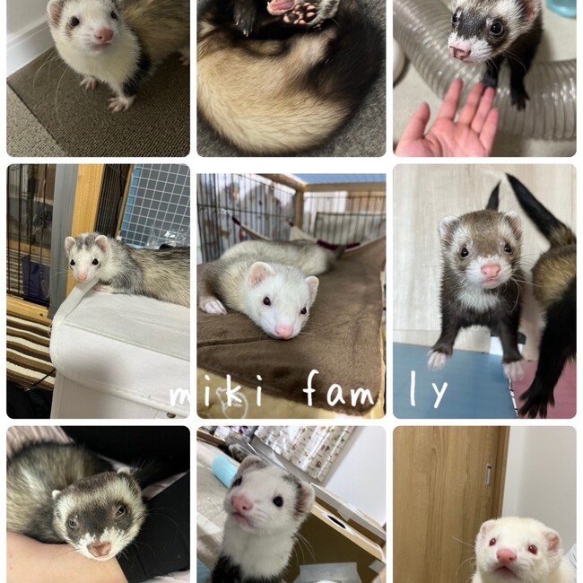 つ0109のカバー写真