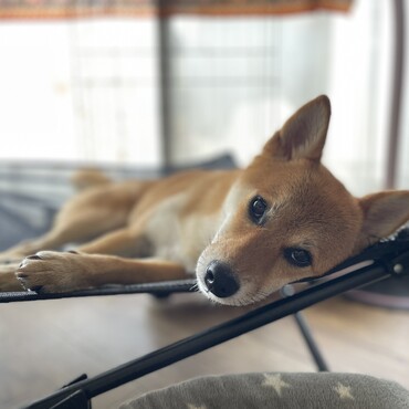 ちょっとおねむ…