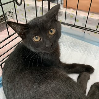 おうちが見つかりました♡あまねちゃん