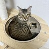 の写真