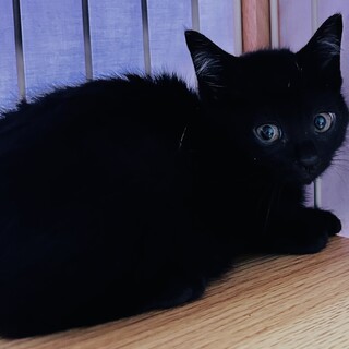 もうもう超天使！絶対に可愛い〜