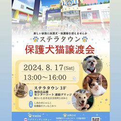 8/17（土）ステラタウン保護犬猫譲渡会
