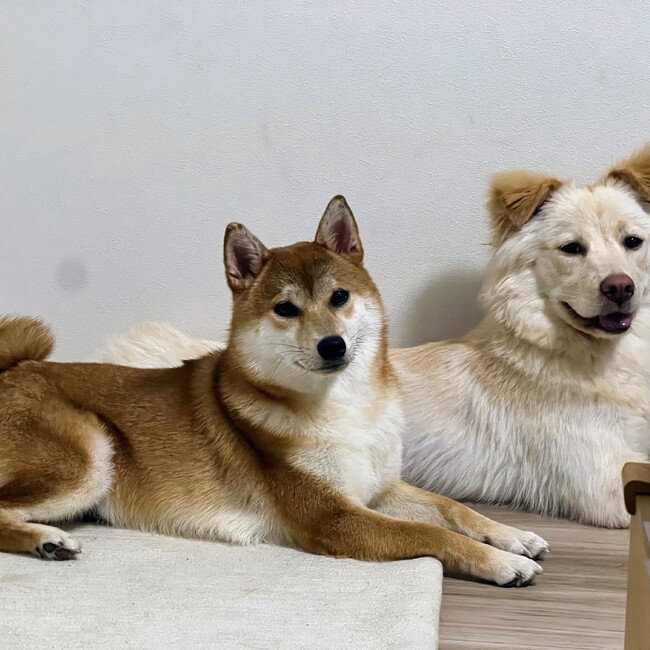 なげっつのカバー写真