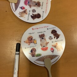 そろそろ梅雨明け？