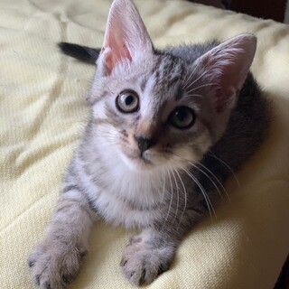 呼ぶとお返事は〜い♡サーンク君