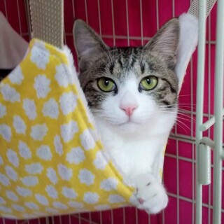 甘えたさんのホクくん♥︎