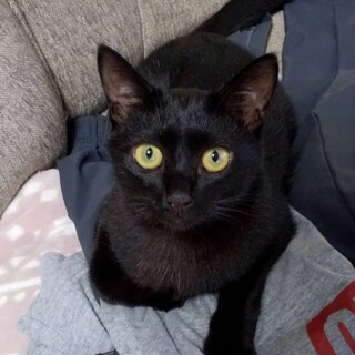 甘えたさんのアネラちゃん♥︎