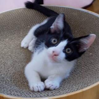 可愛いカイくん♥︎