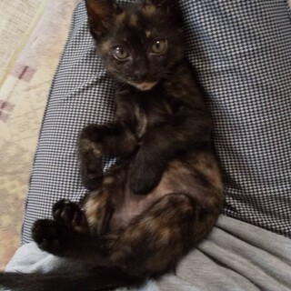 可愛いウイちゃん♥︎