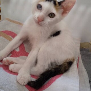 可愛いケイちゃん♥︎