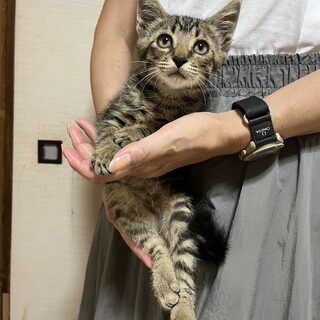 エンジンルームから助けられたジンくん☆