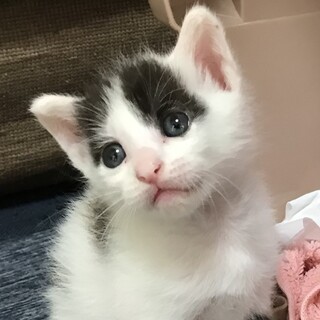 お転婆だけどベッタベタに甘えん坊女子