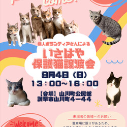 個人ボランティアさんによるいさはや保護猫譲渡会 サムネイル1