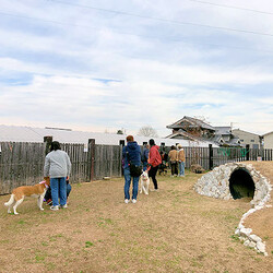 AWA総社犬ねこ譲渡会 サムネイル3