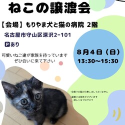 ねこの譲渡会 inもりやま犬と猫の病院