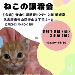 ねこの譲渡会 in守山生涯学習センター