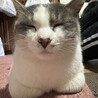 まいまい0091
