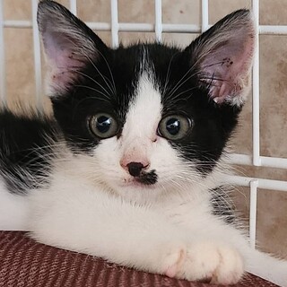 ハートが隠れてる????　ブブブちゃん