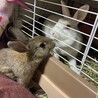 なっちゃん1004