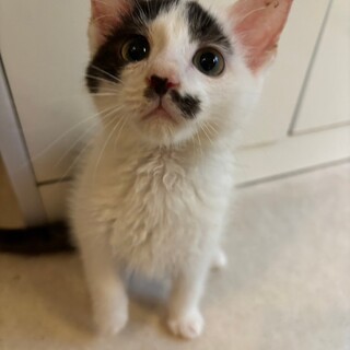 全てが可愛い〜の一言♡りょうくん