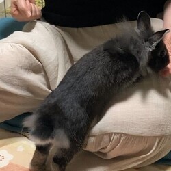 「魔法のおやつ！」サムネイル2