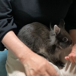 「魔法のおやつ！」サムネイル3