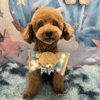 幸せみつかりました！